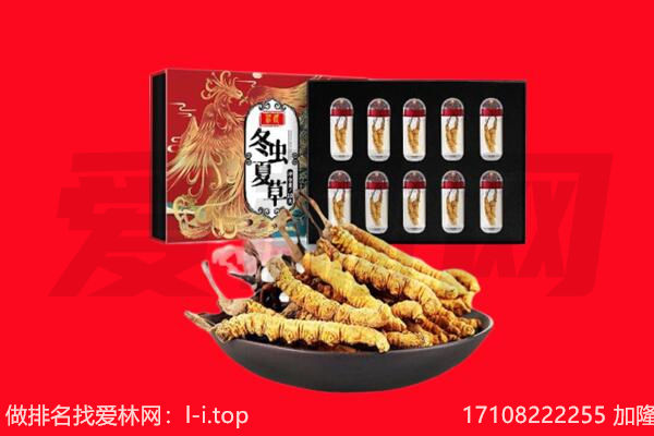 巴彦淖尔回收虫草.jpg
